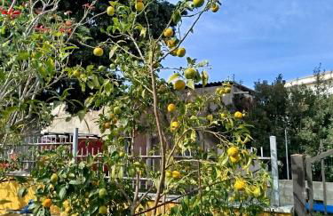 The Apricot House, alle porte di San Teodoro - Foto 42