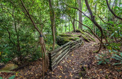 Waterfall Cottage - Foto 19