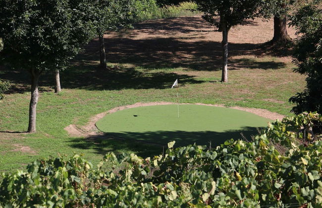 TERRA ROSA COUNTRY HOUSE & VINEYARDS - Foto 74