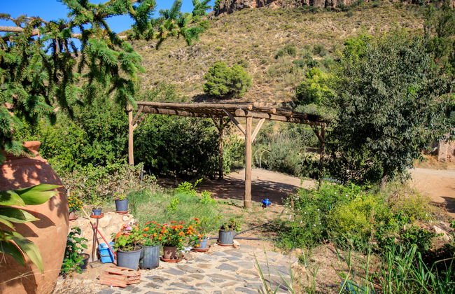 El Cerrillo - Cerro Negro - Photo 21