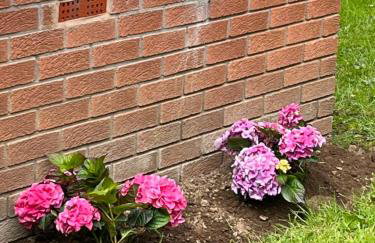 River house - Foto 42