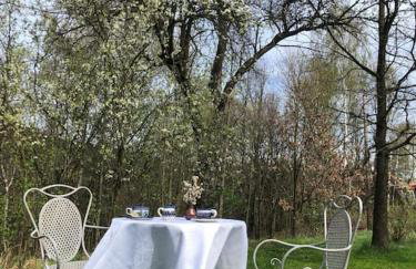 W Karkonoszach na Chacie jacuzzi, sauna, bilard, leśny park - Foto 17