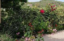 Evilion house inTholo. Sea, nature, relaxation! - Foto 50