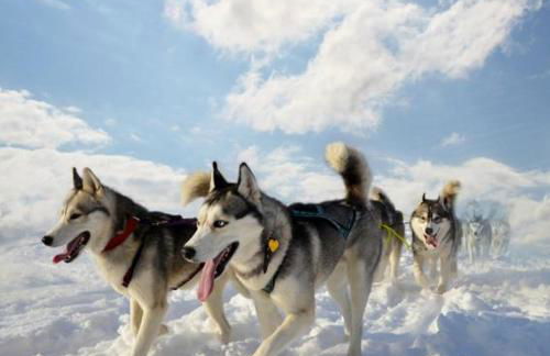 Le Refuge, 2050m La Plagne, Luxury apartment - Foto 25