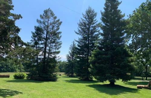 Chateau d 'Echenevex, Geneva - Foto 7