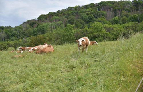 Ferienwohnung Abspanne - Foto 25
