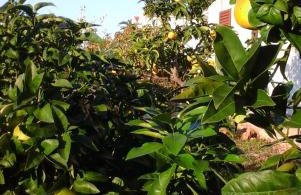 Apartment Benjamin - Photo 19