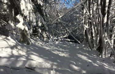 Appartamento Turistico Dal Morino - Foto 26