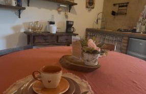 Sitio Lar da Terra - Foto 67