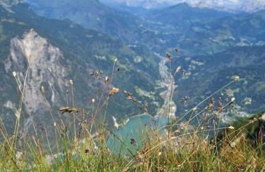 Cesa de Conesel - Foto 50