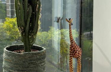 Bright Penthouse with Lift 2 BR Large Balcony Suit Family - Foto 17