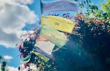 FERIENWOHNUNG ALL YOU NIED mit NIEDBLICK und TERRASSE - Foto 23