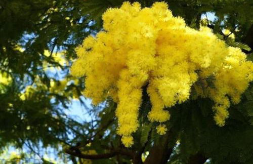 Agriturismo San Michele di Danio Giovanni - Foto 28