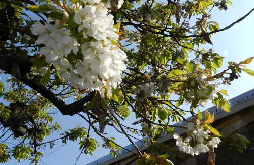 Gite Le Koto - Photo 22