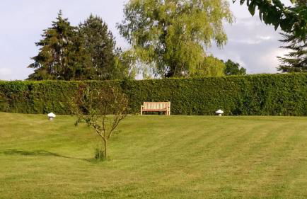 Les Délices de la Vie - Foto 6