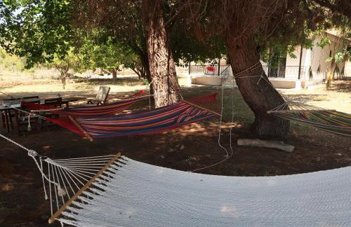 The Beach House - Foto 27