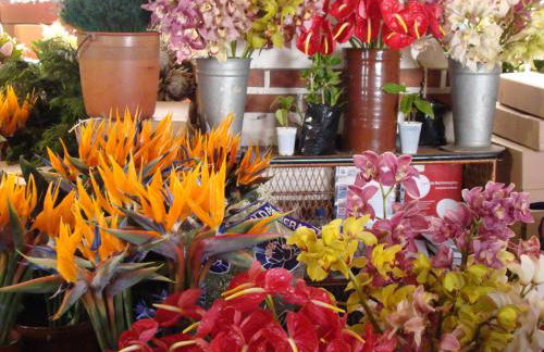 Casa Santana - Foto 23