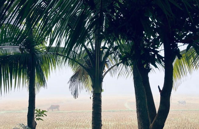 Aminvilla Resort - Foto 28