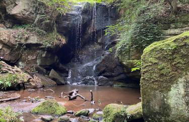 Honeysuckle Cottage - Photo 34