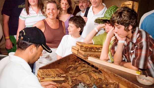 Hojas secas para fabricar los cigarrillos