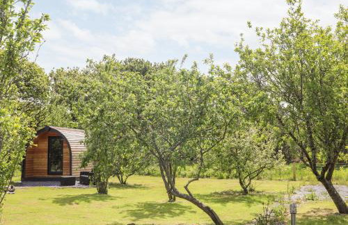 Tyddyn Parthle Pod 1 - Foto 15