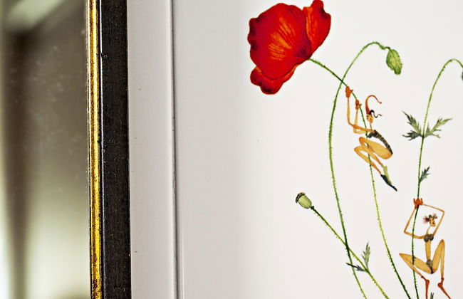 Il Poggio Dell'Artilla - Foto 25