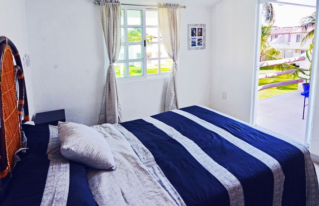 HominngBird - Foto 6