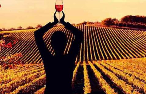 Villa turística Camina y Rioja - Foto 34