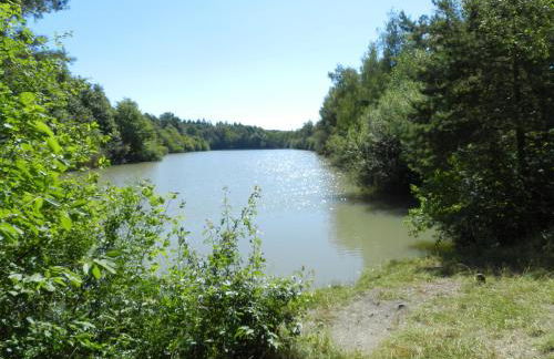 Ferienwohnung im Turm Bellevue mit 3 Schlafzimmern - Foto 15