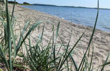 Frühlingsbogen - Foto 9