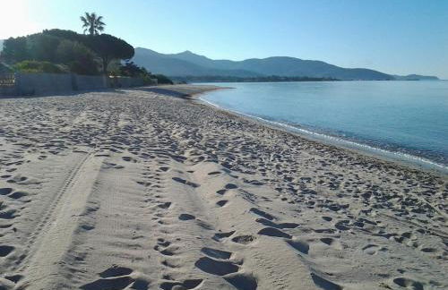 The Peacock house - Foto 40