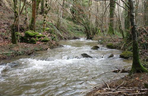 Gîte La Maison du Meunier - Foto 11
