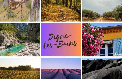 Idéal long séjour, Souvenirs de Provence,T2 classé, vue sur les montagnes, toutes commodités! - Foto 48