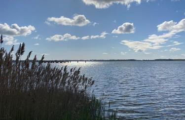 Ferienhaus Rügen Dranske - Photo 19