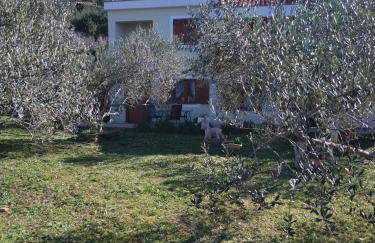 Roko Opaćac Veli IŽ,otok Iž - Foto 39