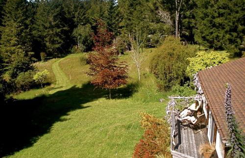 Rural Vacation Cottage near the Coast and the Town of Albion in Northern California - Foto 21