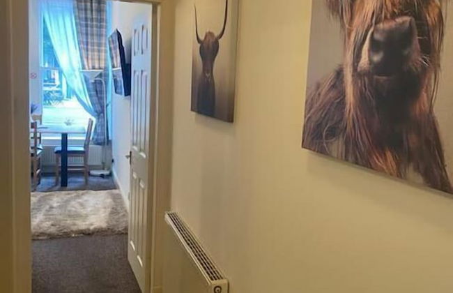 City Lights Apartments - Foto 32