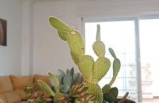 Casa La Romana - Foto 16