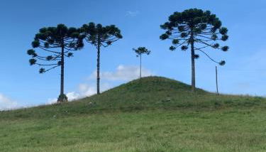 POUSADA FAZENDA PAIM - Foto 1