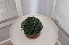 Comodidad cerca de la playa.. a un paso de todo! - Foto 33