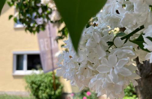 Rhön & Relax Schwarze Berge - Garten - Foto 15