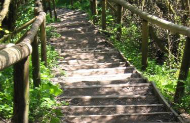 Blinkfüer am Kap Arkona - Foto 30