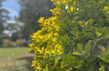 AgriBio Villa Ribes - Photo 63