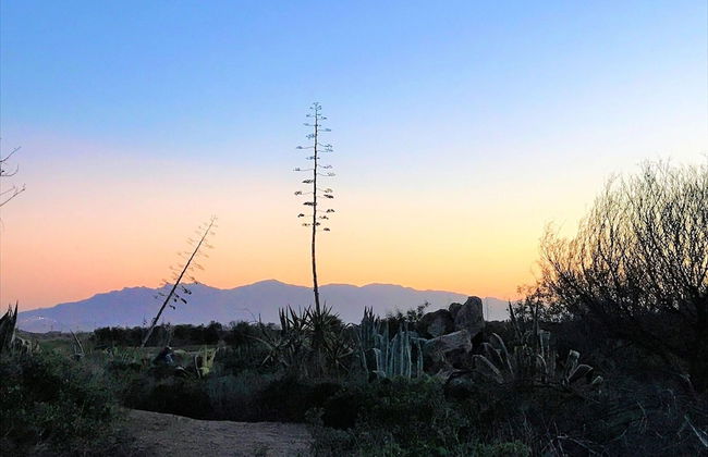 Belvilla by OYO Ballamory - Foto 33