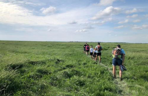 La Muche Valéricaine, coeur de ville, jardin - Foto 22