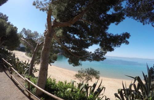 New Madrague Beach - Foto 50