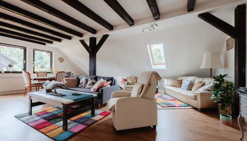 Olifant in Osterode - Foto 5