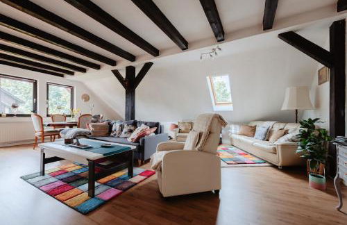 Olifant in Osterode - Foto 5