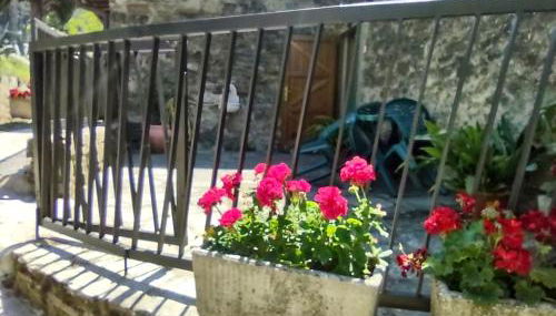 Fattoria di Cintoia - Foto 5