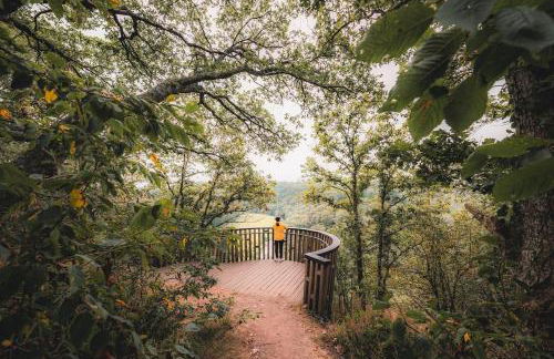 La Grange et le Nid - Photo 70